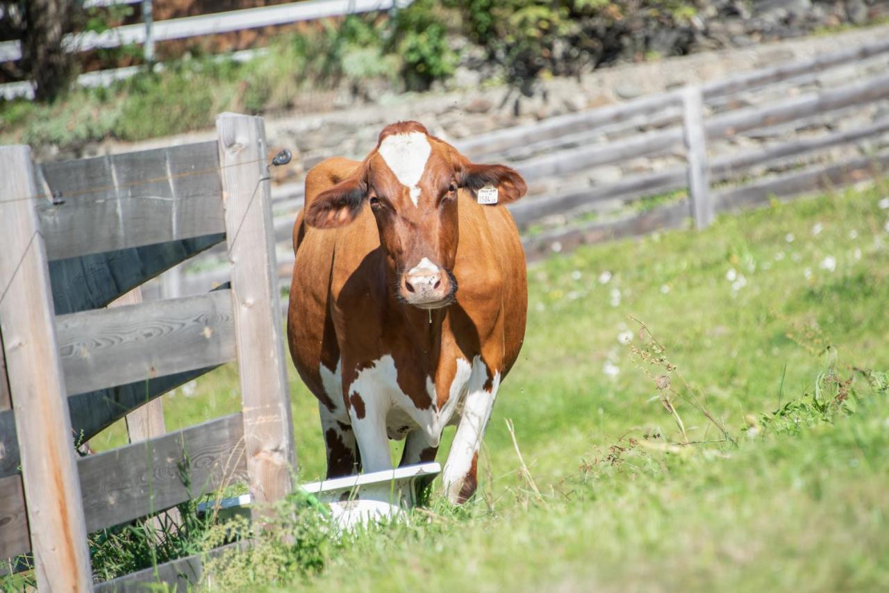 Gemangerhof Lägenhet Brixen Exteriör bild